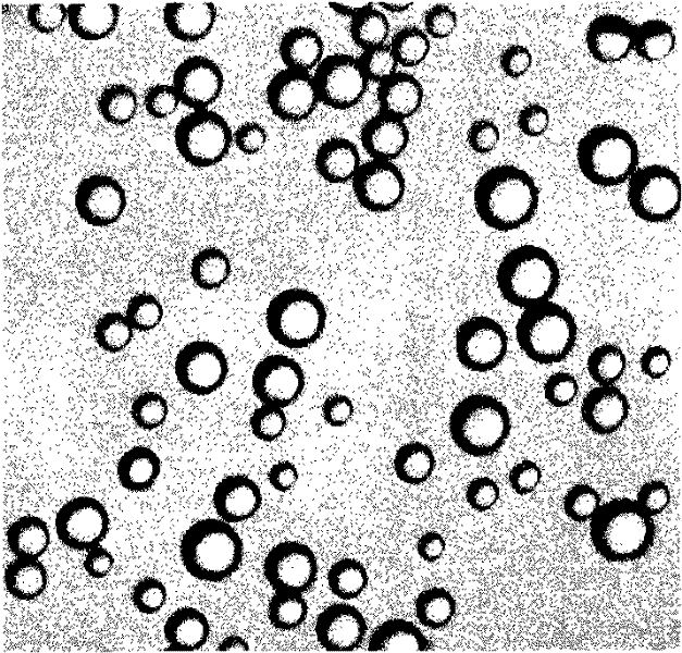 High-efficient low-toxicity ultrasonic microvesicle for carrying ricin A chain and preparation method thereof