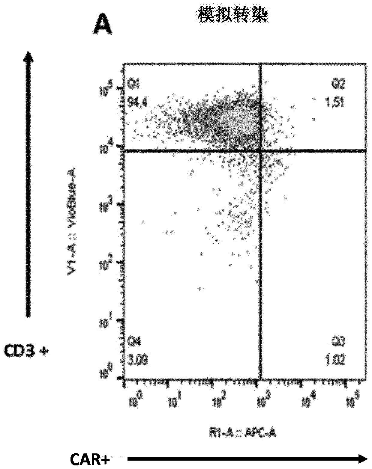 Targeted gene integration of nk inhibitors genes for improved immune cells therapy