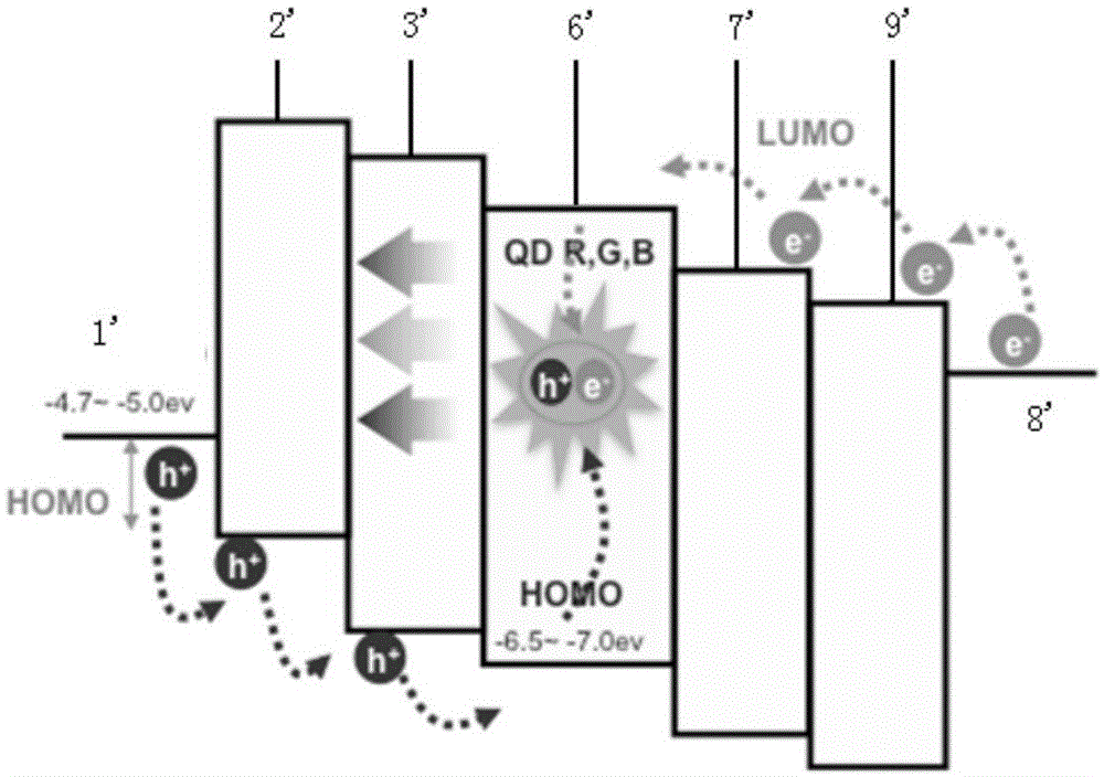 Quantum dot light emitting diode and preparation method thereof