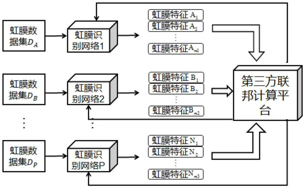 Iris image feature extraction method, system and device based on federated learning