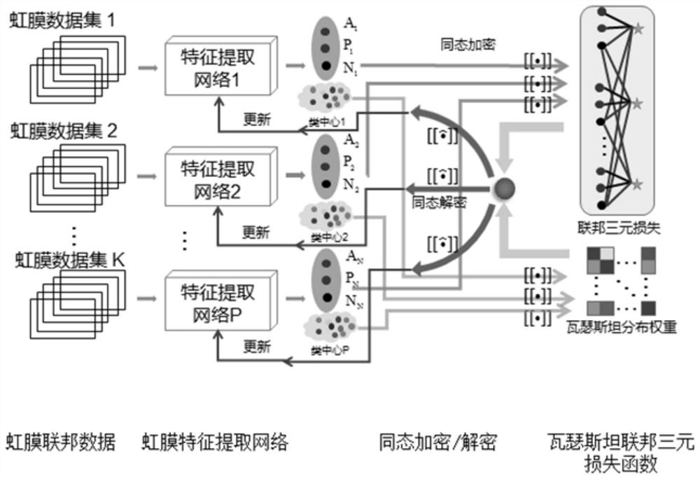 Iris image feature extraction method, system and device based on federated learning