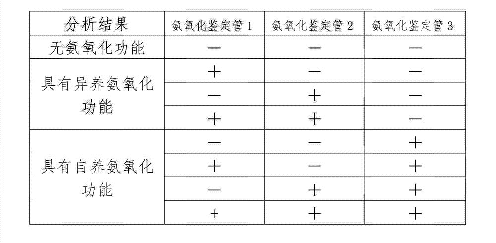 Ammonia-oxidizing bacterium screening and testing reagent box, screening and testing method and bacterium sample separating method