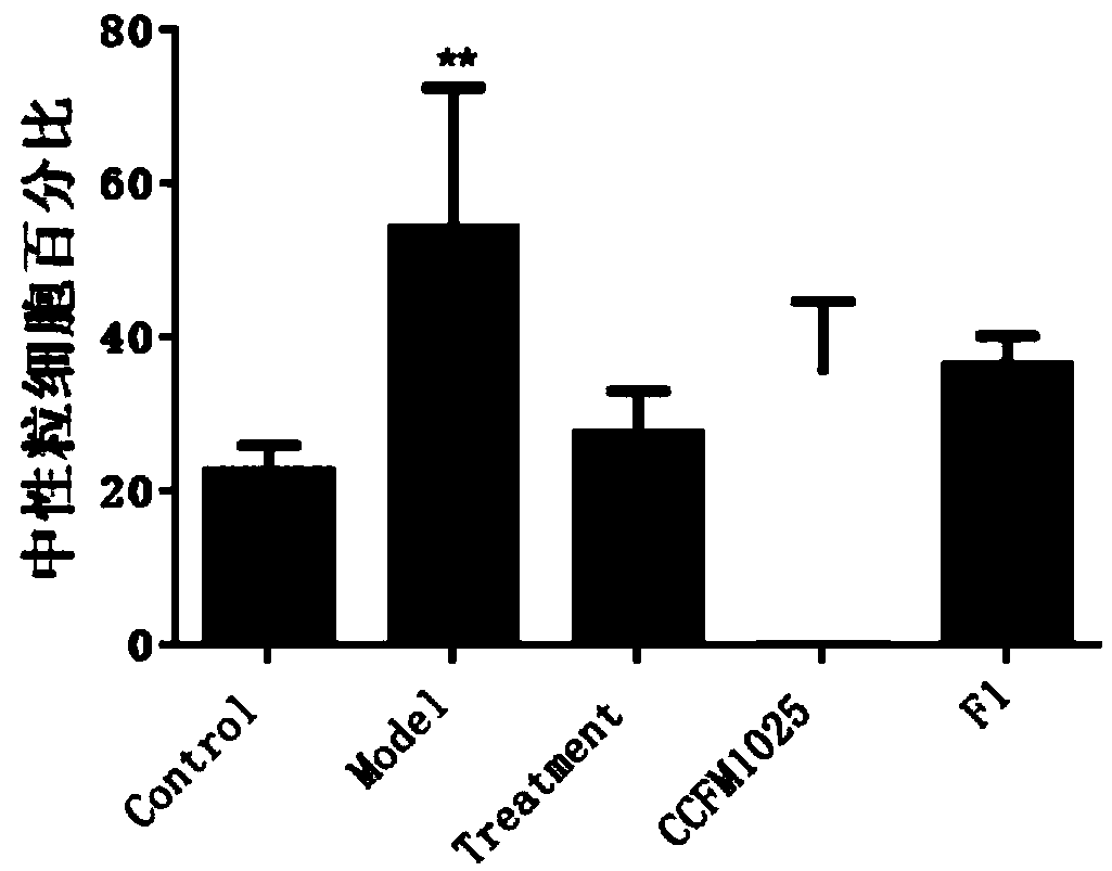 Probiotic mixing preparation with anti-influenza capability and application thereof