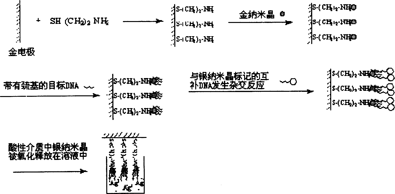 Preparation method of deoxyribonucleic acid electrochemical nanometer sensor