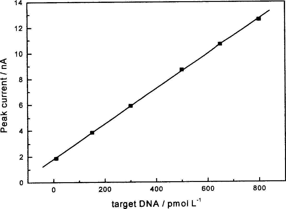 Preparation method of deoxyribonucleic acid electrochemical nanometer sensor