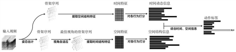 Behavior recognition method and system based on human skeleton