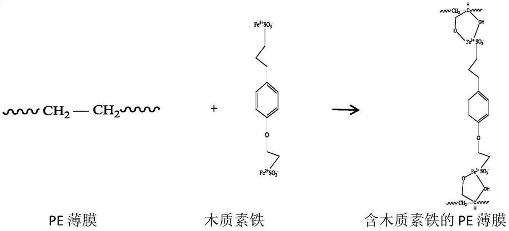 PE film material containing lignin iron, and synthesis method thereof