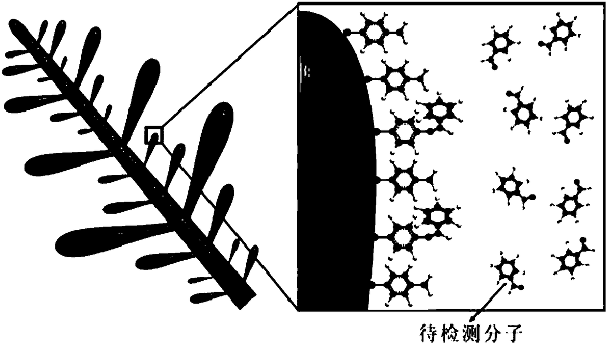 Preparation method and gas detection method of surface-enhanced Raman scattering base material