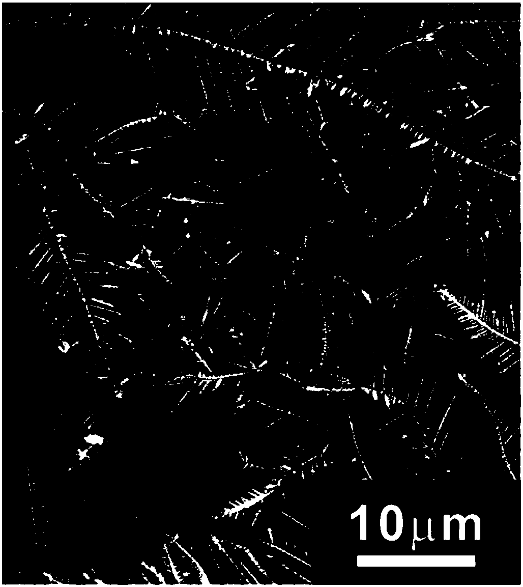 Preparation method and gas detection method of surface-enhanced Raman scattering base material