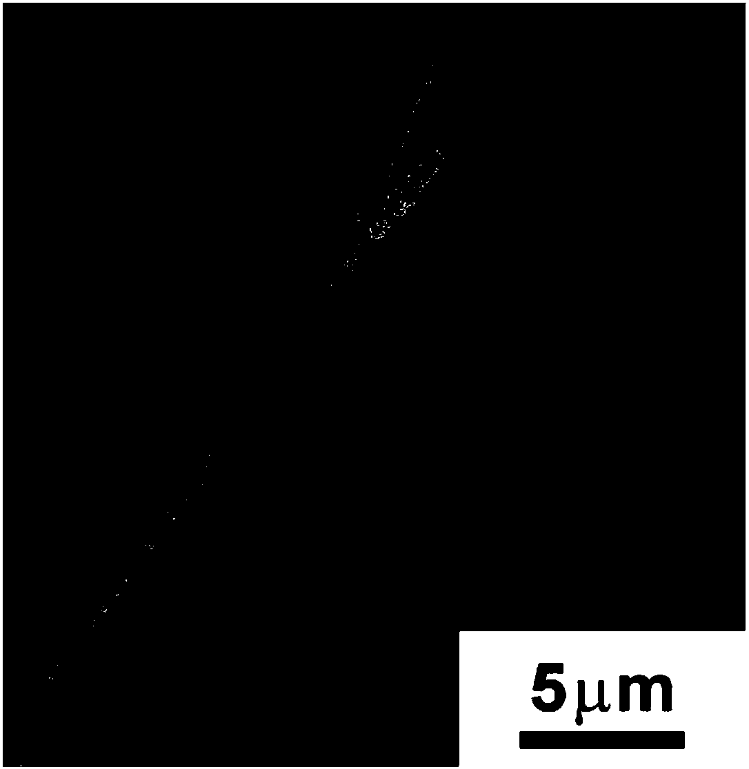 Preparation method and gas detection method of surface-enhanced Raman scattering base material