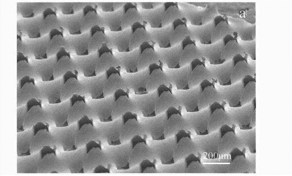 Production method of electrochemical active pole piece