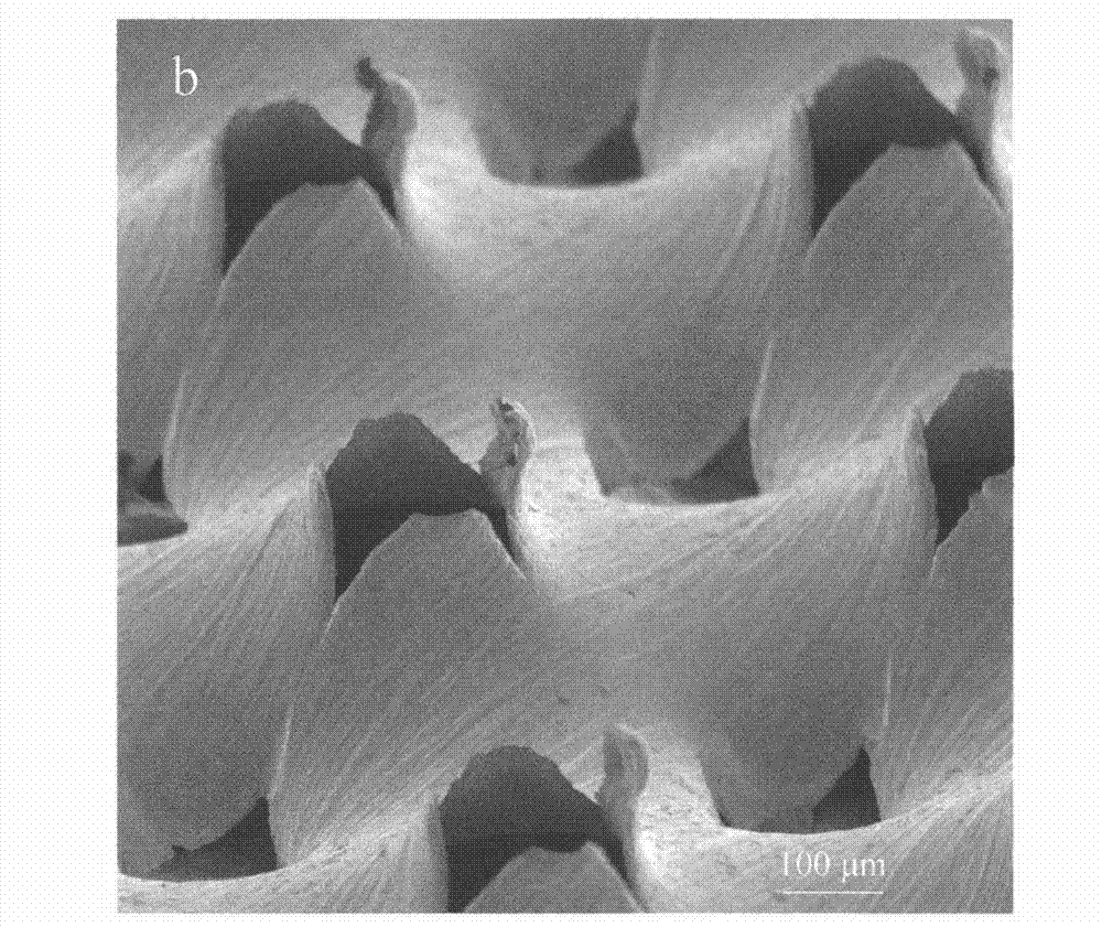 Production method of electrochemical active pole piece