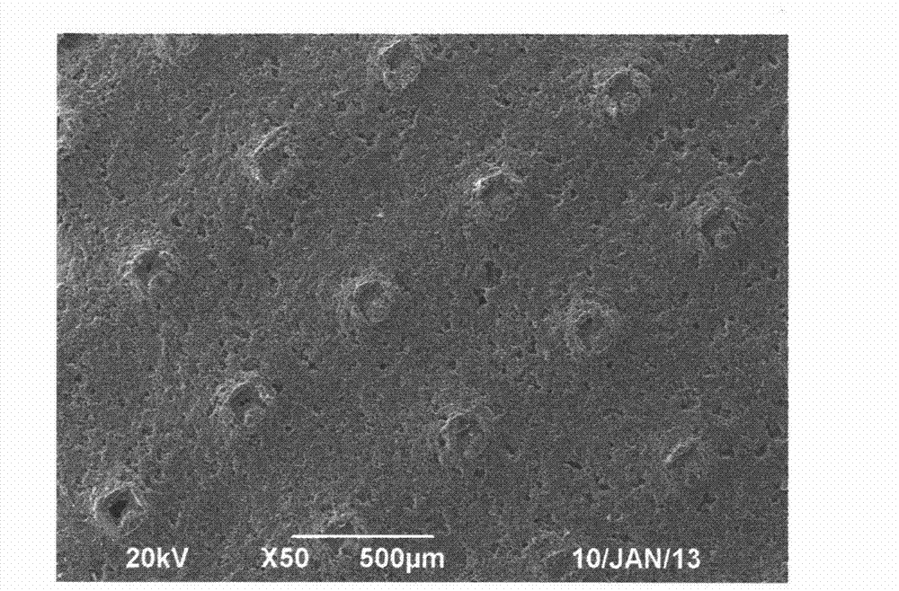 Production method of electrochemical active pole piece