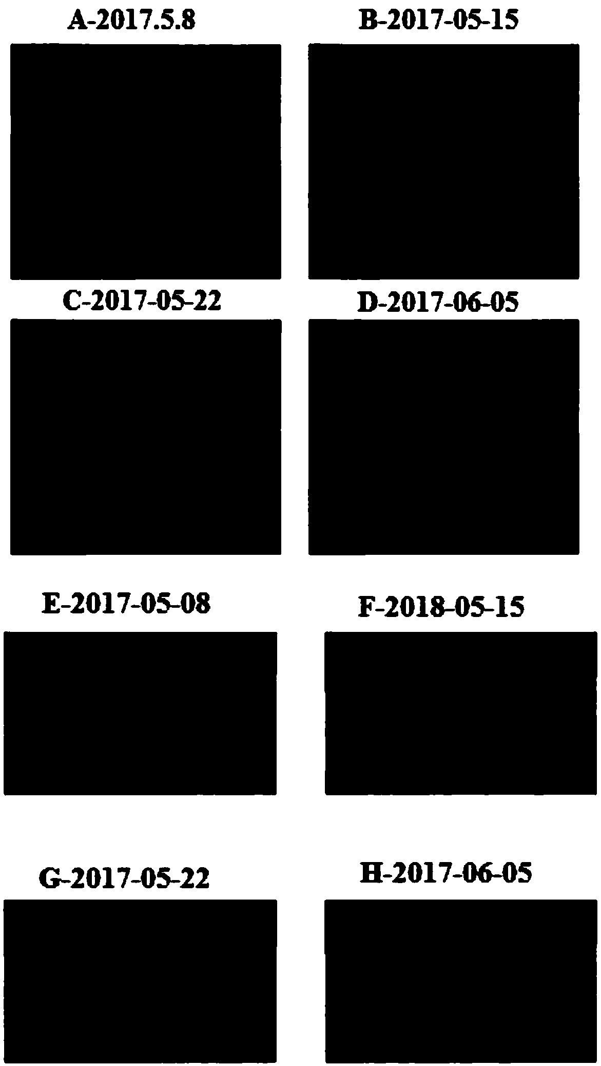 Composition and acne-removing cosmetic containing same