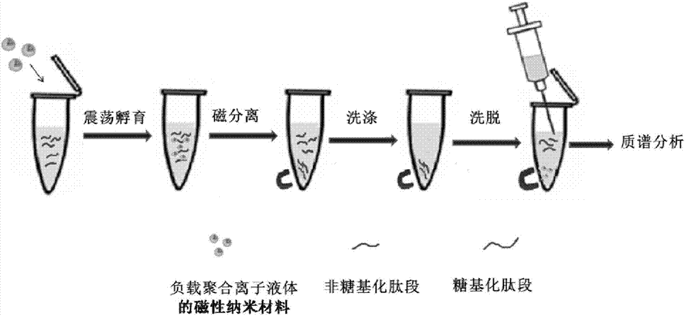 Surface polymerized ionic liquid modified magnetic nanometer material as well as preparation method and application thereof