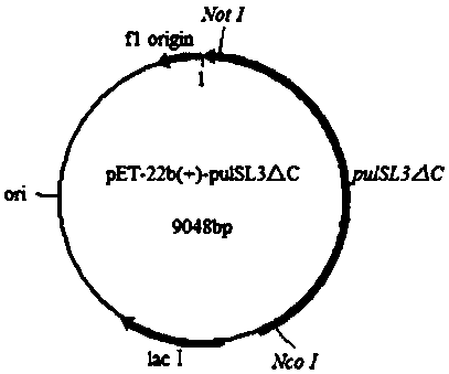 Alkaline pullulanase transformed in site-specific mutagenesis mode, and application thereof