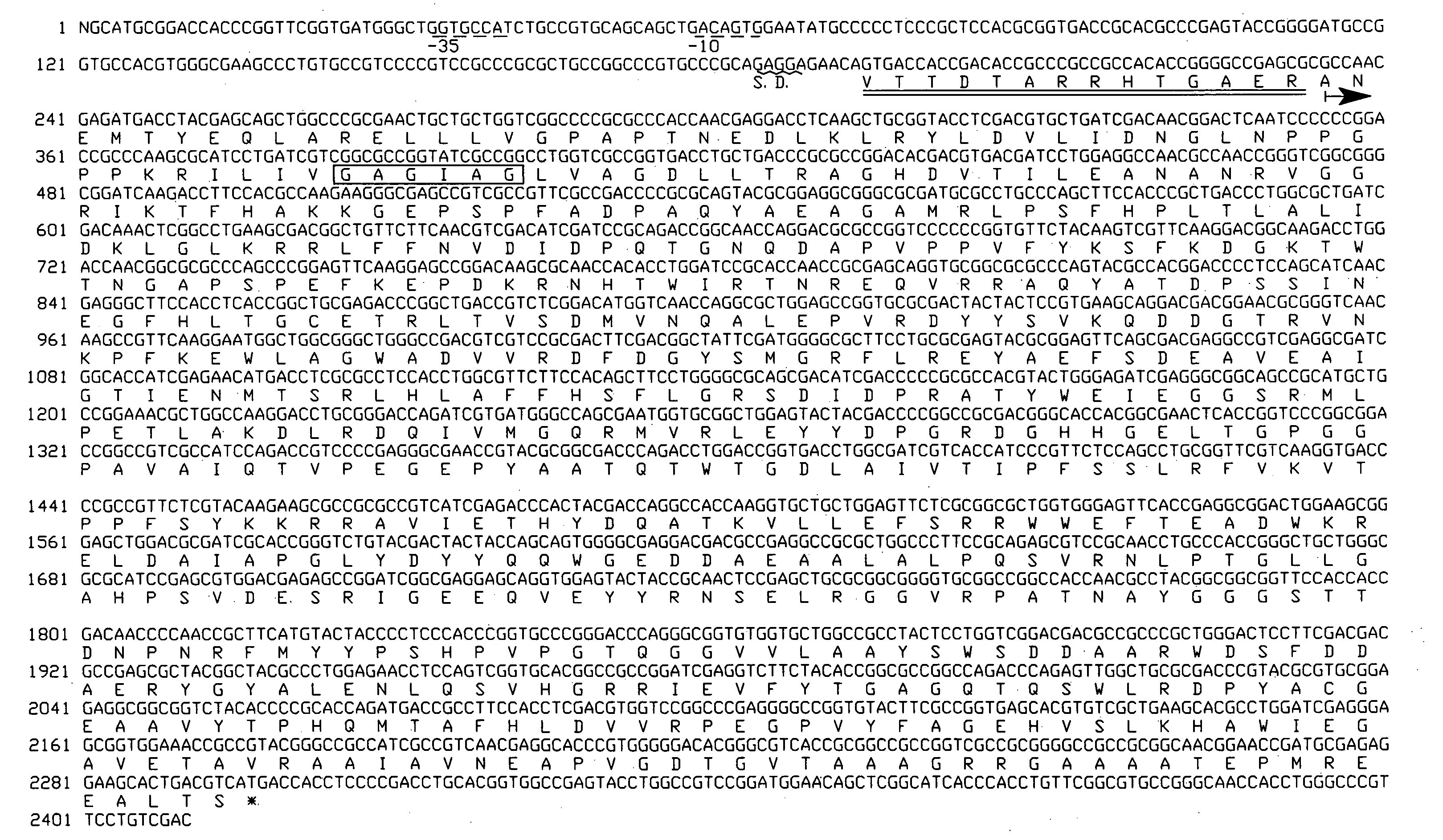 L-glutamate oxidase