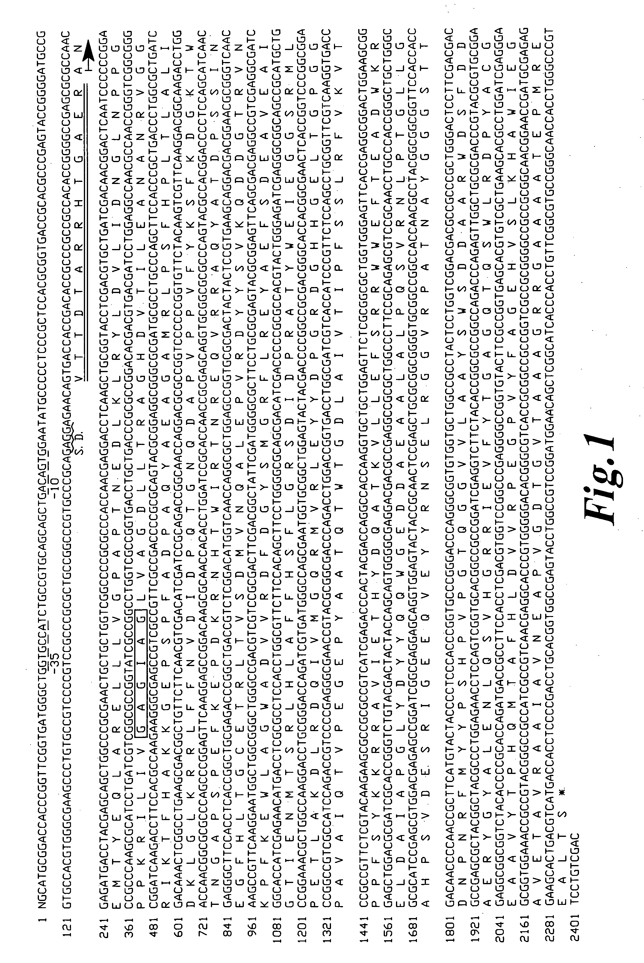 L-glutamate oxidase