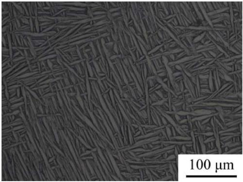 All alpha-type corrosion-resistant titanium alloy and preparation method thereof