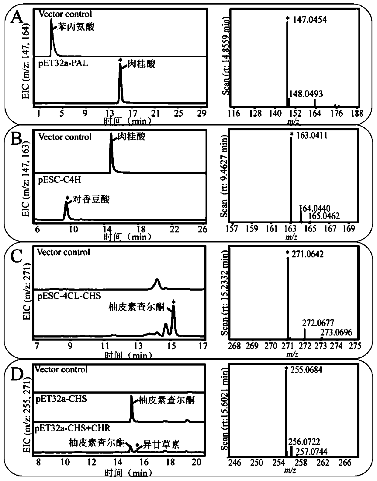 Fusion protein, encoding gene of fusion protein and application of fusion protein in biosynthesis