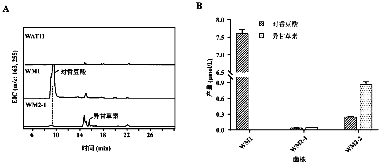 Fusion protein, encoding gene of fusion protein and application of fusion protein in biosynthesis