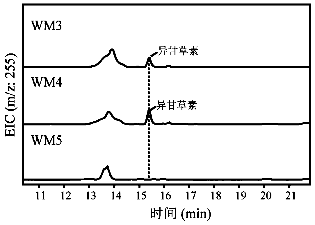 Fusion protein, encoding gene of fusion protein and application of fusion protein in biosynthesis