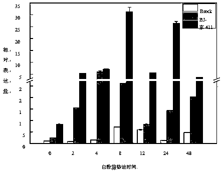 Triticum aestivum PITP TaSec14 gene and application thereof