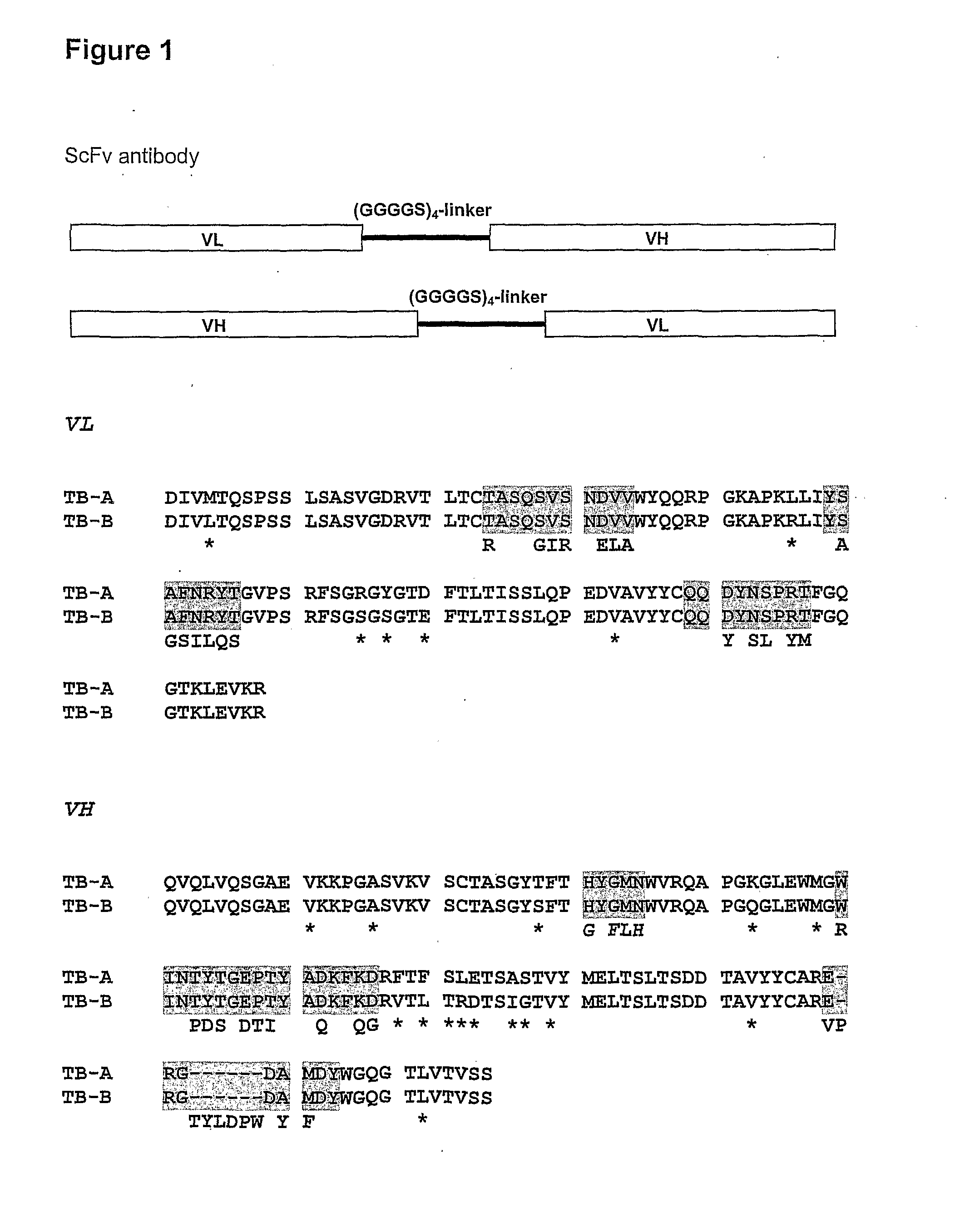 Stable and soluble antibodies inhibiting TNF alpha