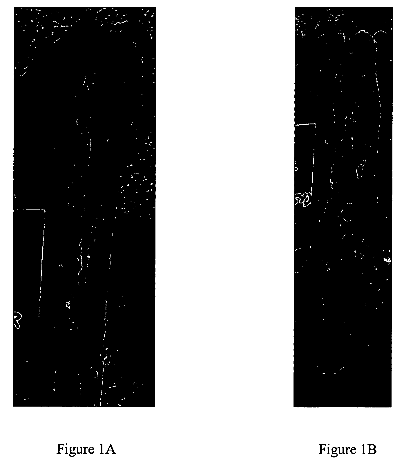 Formula and process for producing frozen sheeted dough