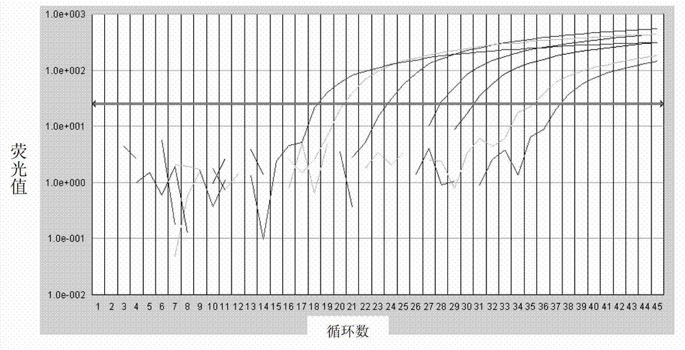 Kit for quantitatively detecting expression level of specific gene 1 mRNA (messenger Ribonucleic Acid) in human breast cancer