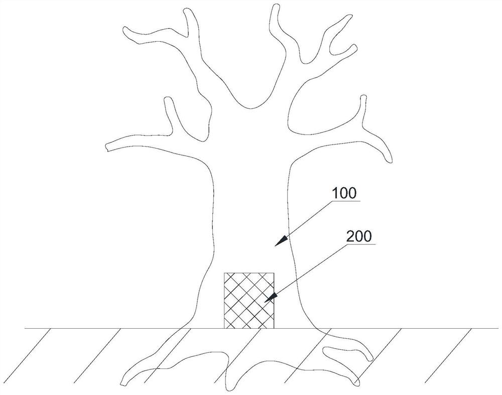 Growth regulation method for improving fruit setting rate of fruit trees