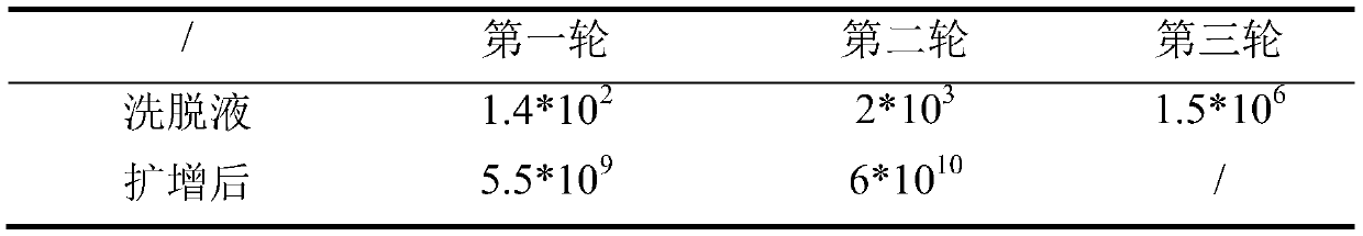 Amylin compatible polypeptide and application thereof