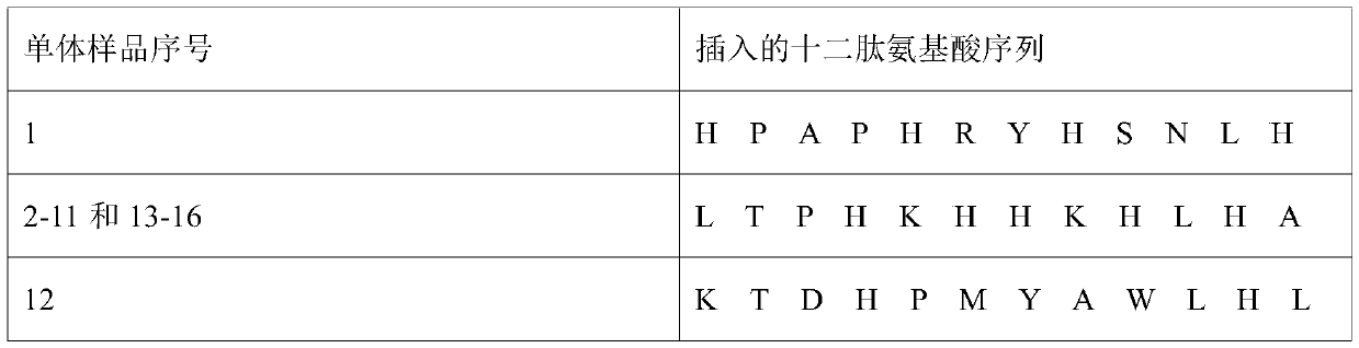 Amylin compatible polypeptide and application thereof