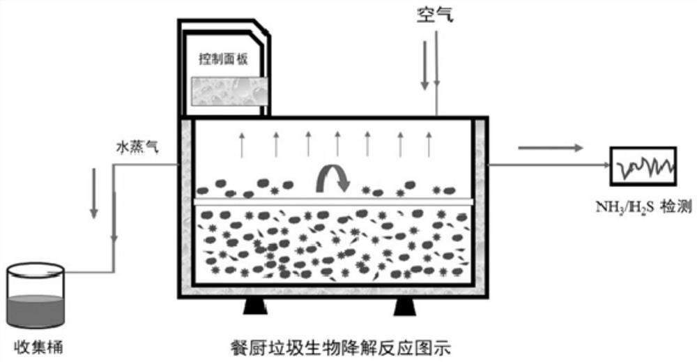 A kind of microbial bacterial agent and application for high-temperature biodegradation of kitchen waste