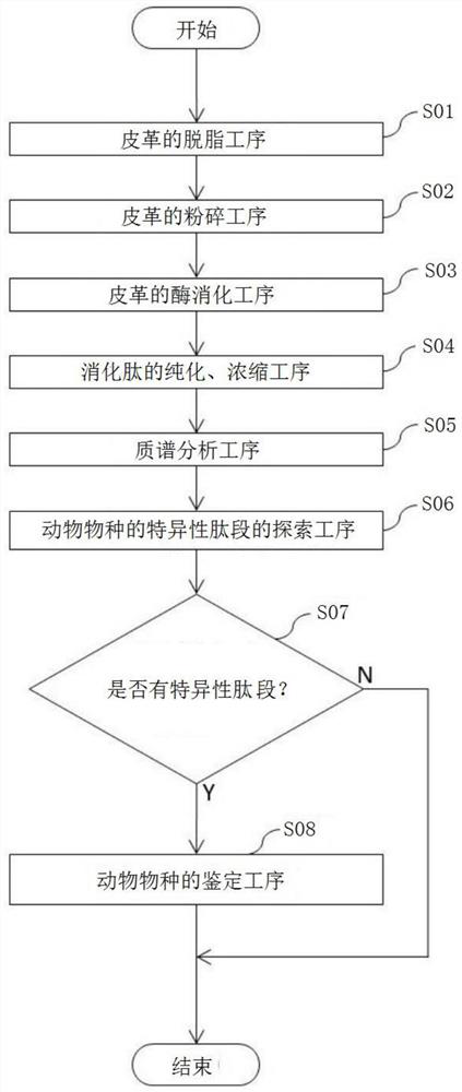 Animal species identification method