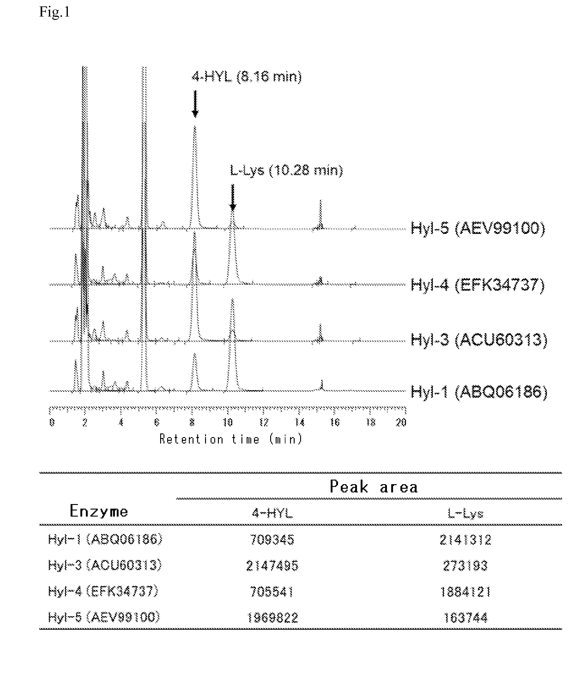 L-lysine hydroxylase and production method for hydroxy-L-lysine and hydroxy-L-pipecolic acid using same