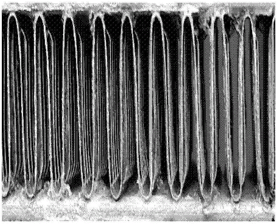 Antibacterial composition, and preparation method and application thereof