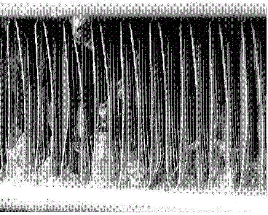 Antibacterial composition, and preparation method and application thereof