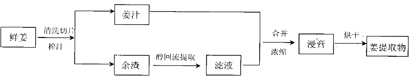 Ginger and jujube granules and preparation method thereof