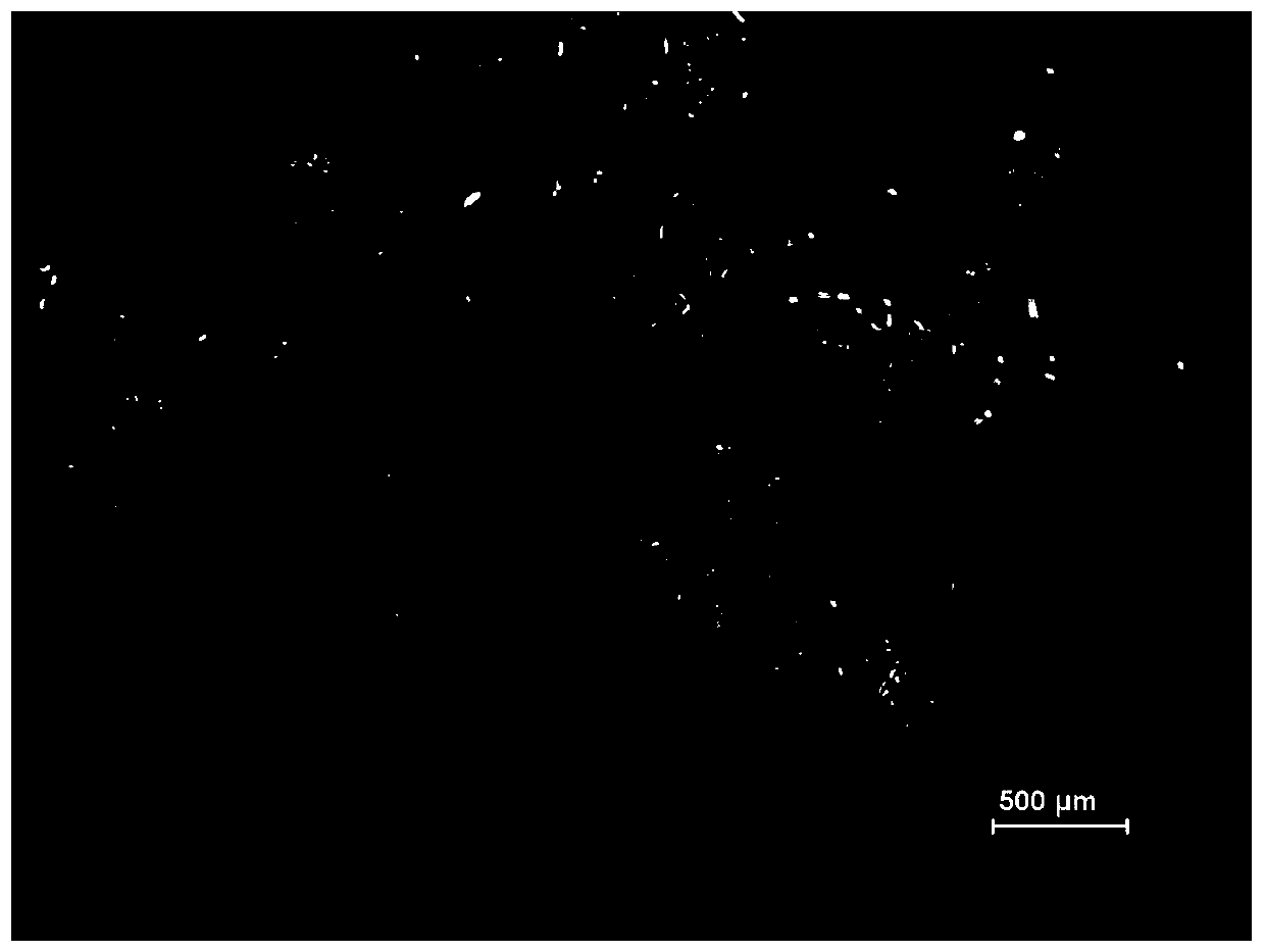 Liquid suspension culture method capable of promoting somatic embryo maturation of Liquidambar spp. plants