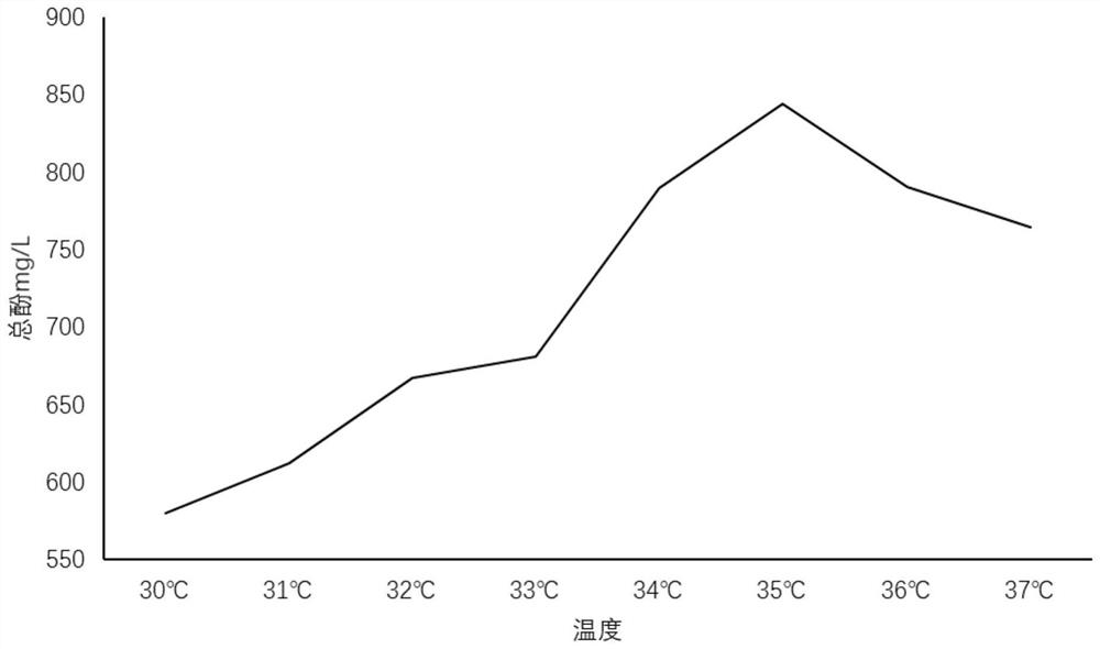 Seaweed and chlorella compound enzyme and preparation method thereof