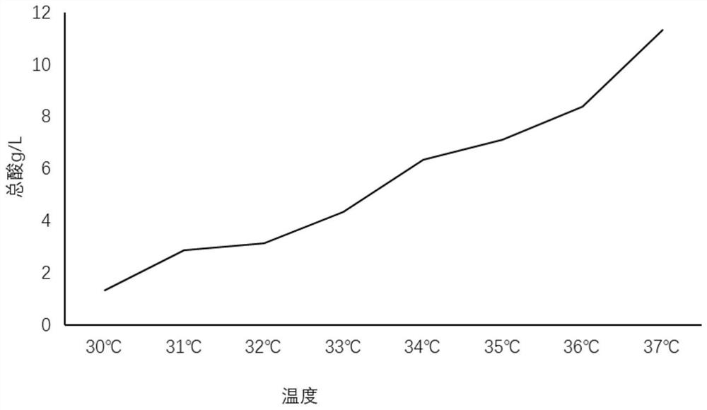 Seaweed and chlorella compound enzyme and preparation method thereof