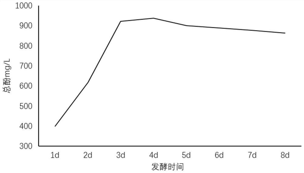 Seaweed and chlorella compound enzyme and preparation method thereof