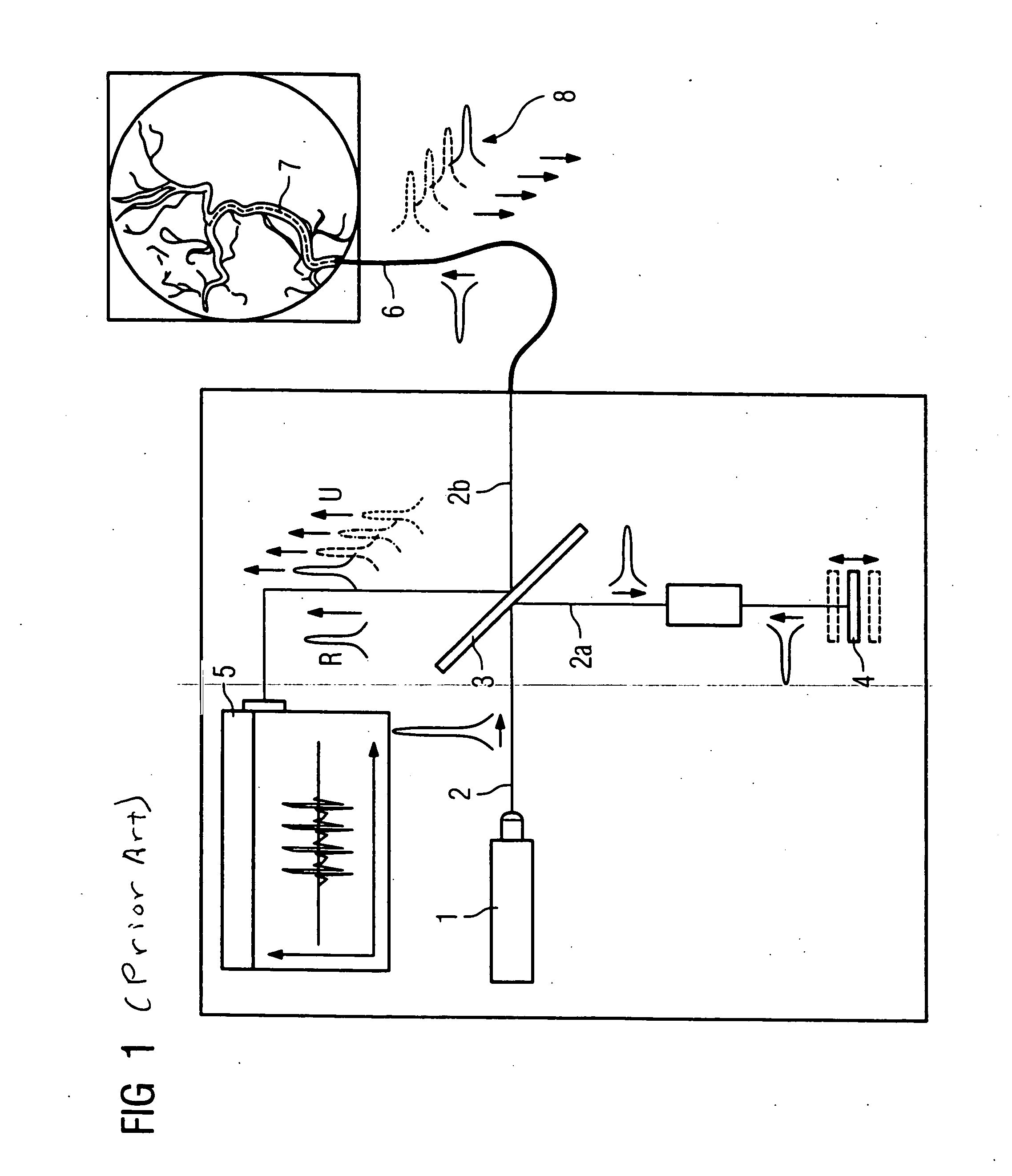 Optical coherence tomography system for the examination of human or animal tissue or of organs