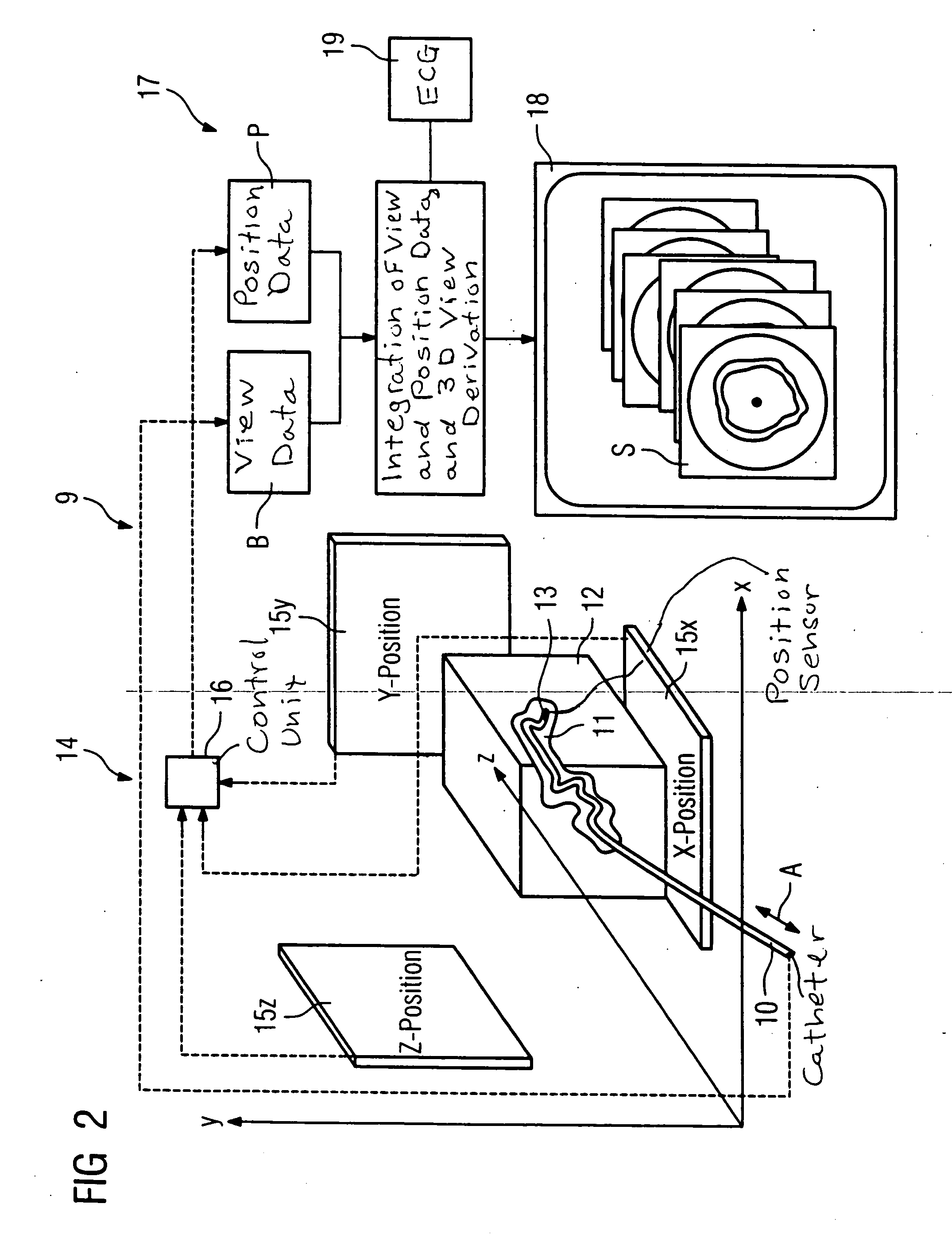 Optical coherence tomography system for the examination of human or animal tissue or of organs