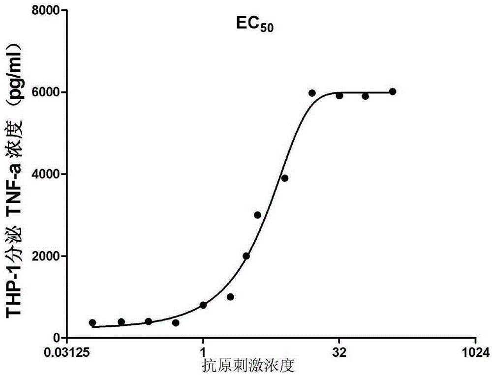 Protein D and HER2 fusion protein and preparing method and application thereof