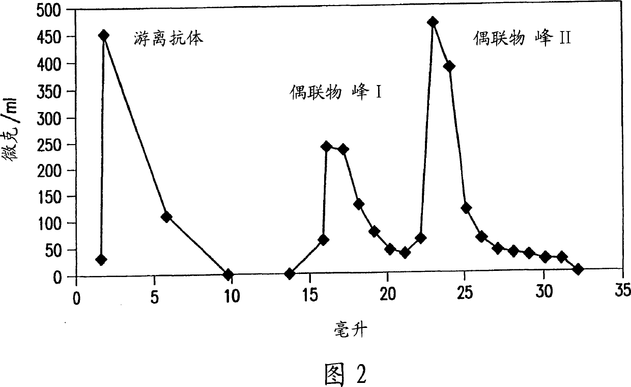 Protein expression profiling