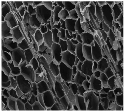 Rod-like polyaniline/wood electrode material as well as preparation method and application thereof