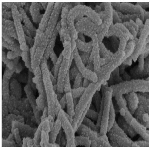 Rod-like polyaniline/wood electrode material as well as preparation method and application thereof