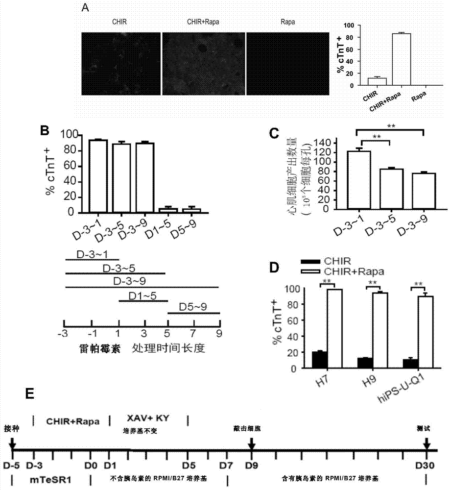 Small-molecule compound composition capable of efficiently inducing differentiation of human multipotent stem cells into myocardial cells